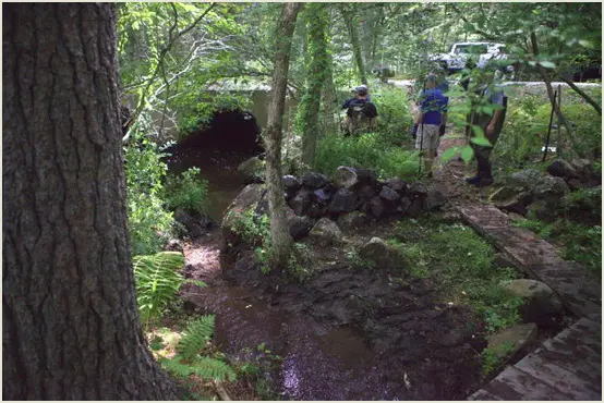 Longmeadow Brook11c_1