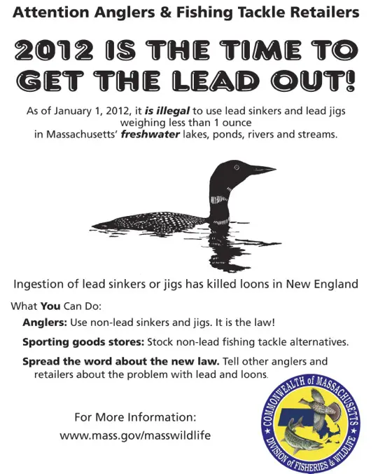 loons_lead_sinker_flyer-1