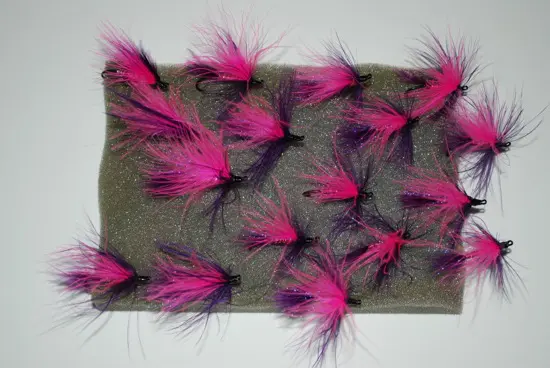 Steelhead Swap-1