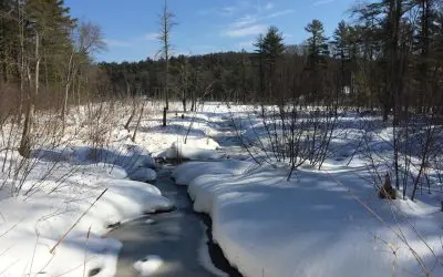 Ipswich River Willowdale Dam Fish Ladder